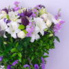 Purple Enchantment