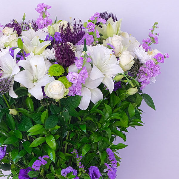 Purple Enchantment