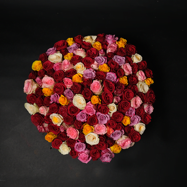 Bella Rosa - 150 Roses