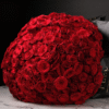 Cherished Moment - 300 Roses