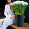 White Tulip Perfection
