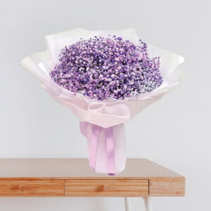 Royal Purple Gypsophila