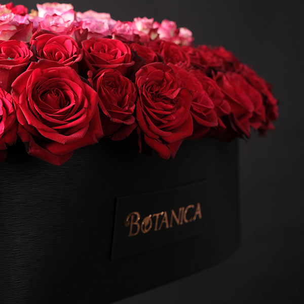 12.png Heart's Desire - 250 Roses