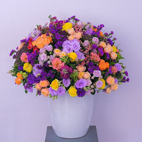 29.jpg Enchanted Moonlight