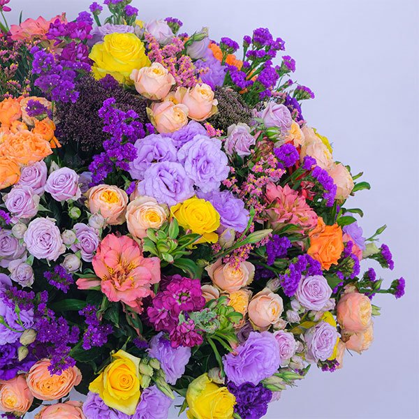 30.jpg Enchanted Moonlight