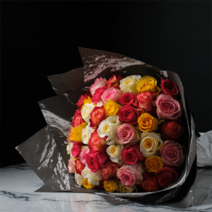 Sophisticated Sanctuary