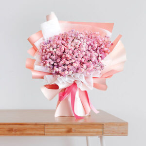 Pink Cloud Gypsophila