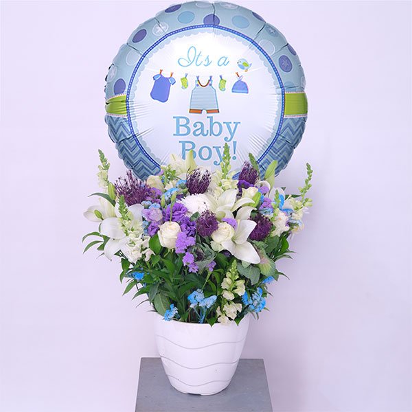 Boy.jpg Violet Harmony Bundle