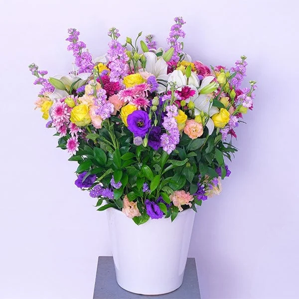 Aurora Arrangement — regional reference Aurora Arrangement