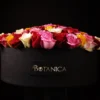 Bella Rosa - 150 Roses — regional reference Bella Rosa - 150 Roses