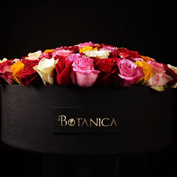 Bella Rosa - 150 Roses — regional reference Bella Rosa - 150 Roses