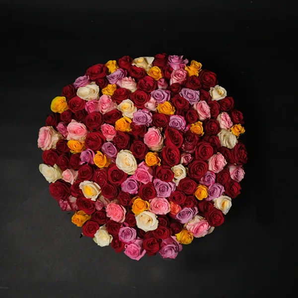 Bella Rosa - 150 Roses — regional reference Bella Rosa - 150 Roses