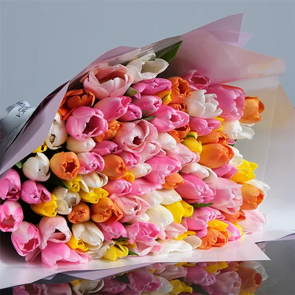 Enchanting Colorful Tulips