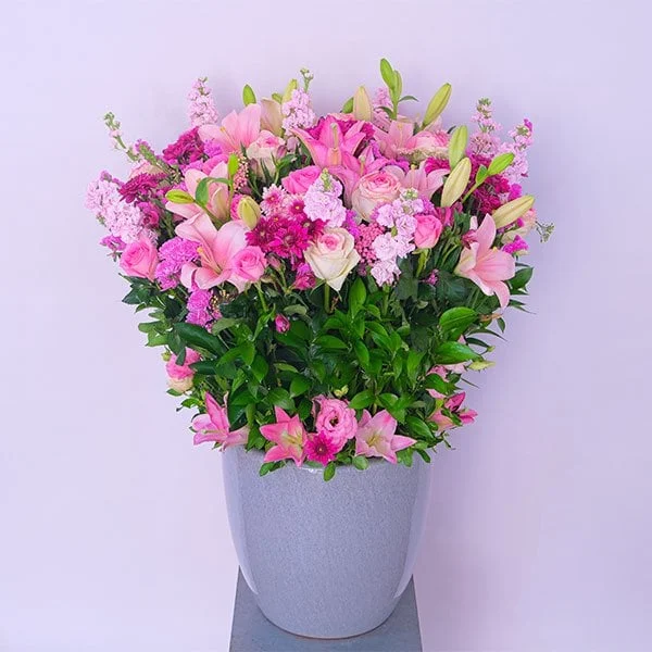 Forest Blooms
