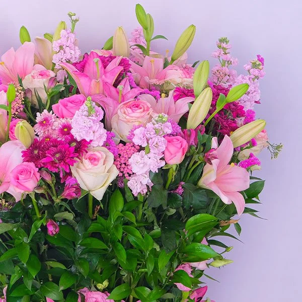 Forest Blooms