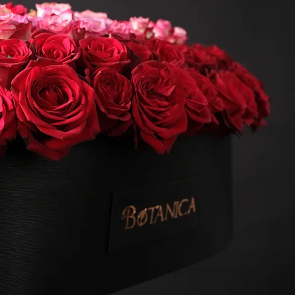 Heart's Desire - 250 Roses