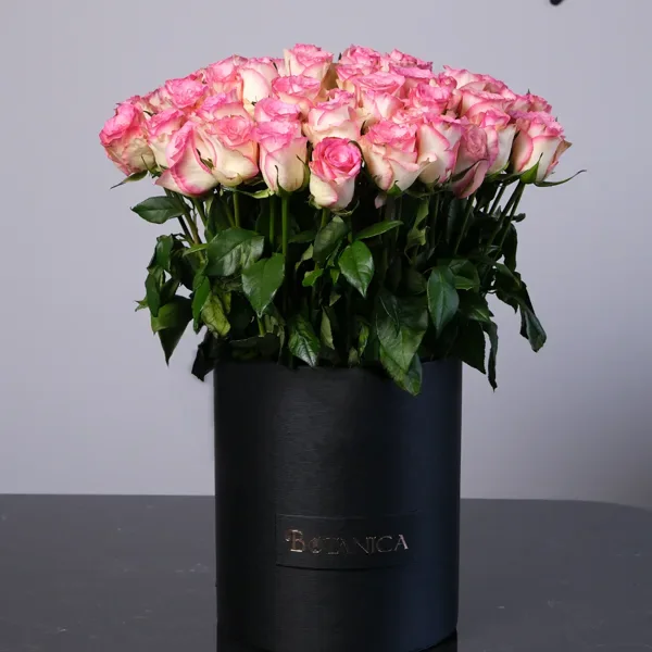 Joyful Moments Pink Roses — regional reference Joyful Moments Pink Roses