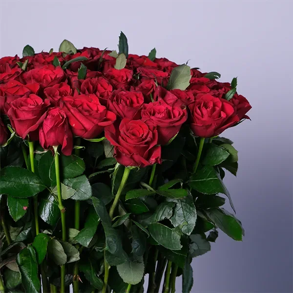 Loving Embrace Red Roses — regional reference Loving Embrace Red Roses