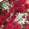 Red Romance