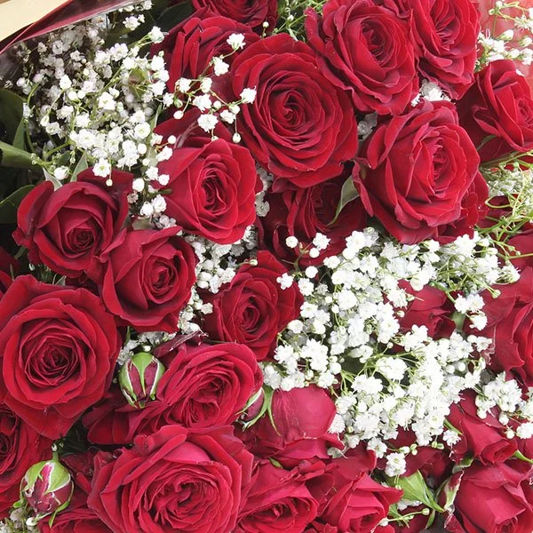 Red Romance