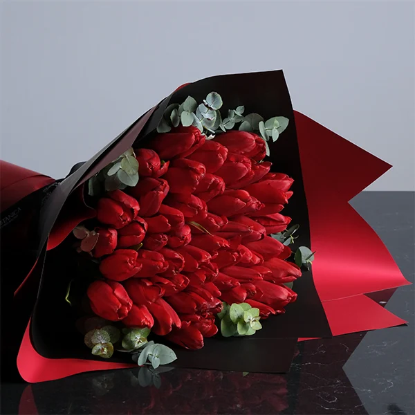 Red Tulip Elegance — regional reference Red Tulip Elegance
