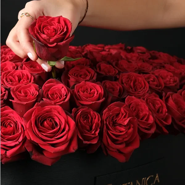 Roses of Love - 150 Roses