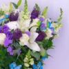 Violet Harmony
