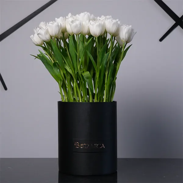 White Tulip Perfection