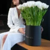 White Tulip Perfection