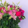 Wild Elegance — regional reference Wild Elegance