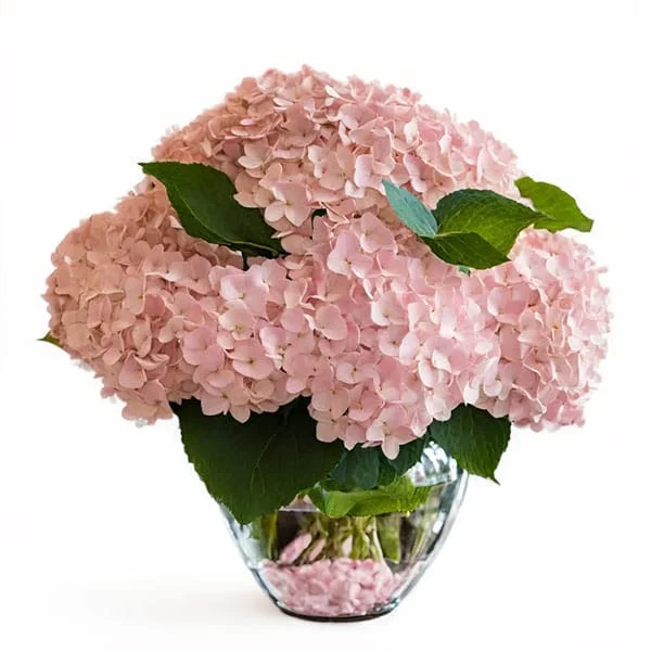 Pink Hydrangea Bouquet