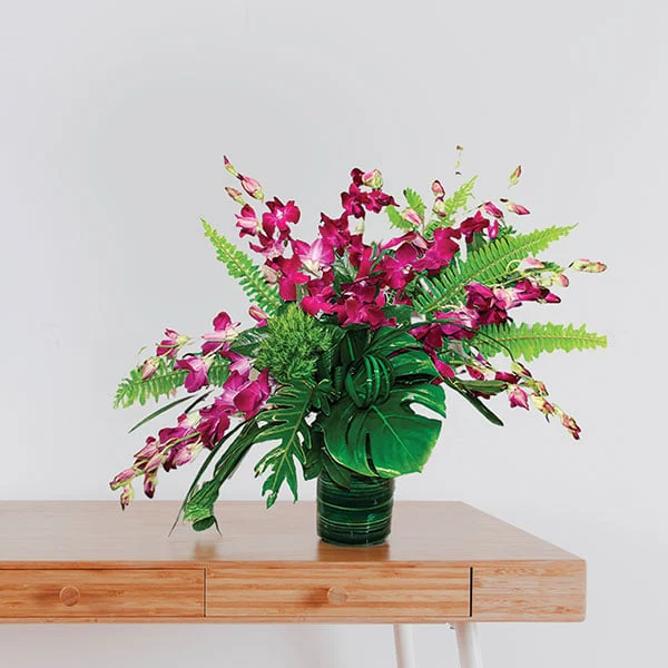Fuchsia Orchid
