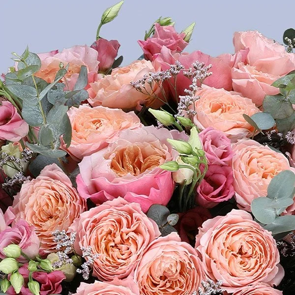 Pastel Petals