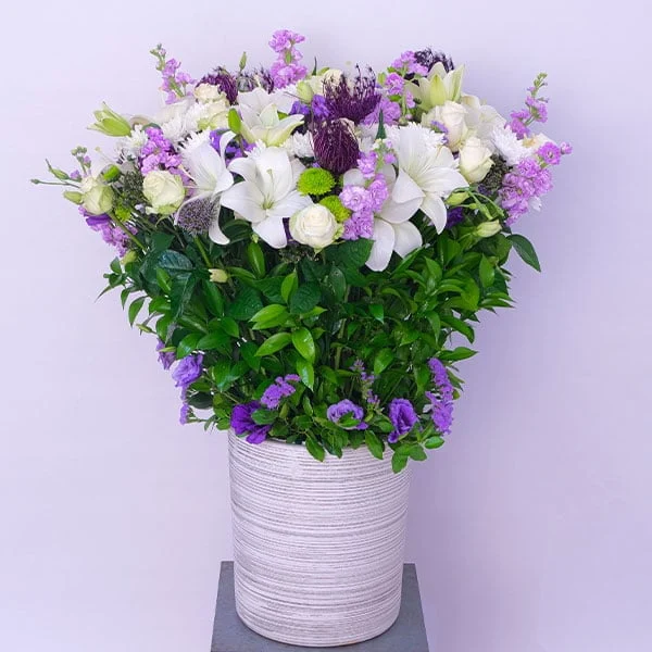 Purple Enchantment