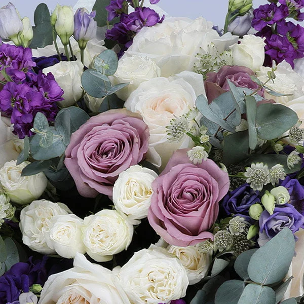 Purple Poetry — regional reference Purple Poetry