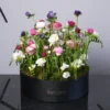 Radiant Beauty Colorful Bouquet — regional reference Radiant Beauty Colorful Bouquet