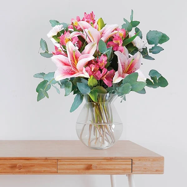 Stargazer Lily Symphony
