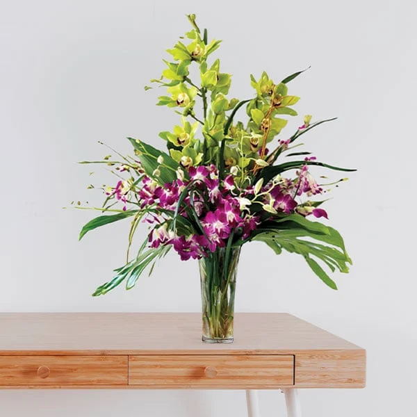 Tropical Fusion Orchid
