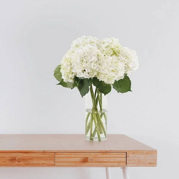 White Hydrangea Bouquet